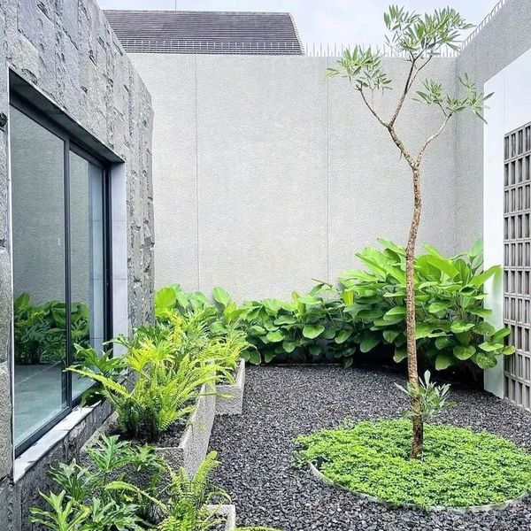 taman kecil di halaman rumah dengan tanaman yang menambah estetik